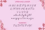 Zhivilia Font