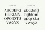 Zolina - Modern Font family