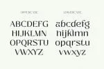 Zolina - Modern Font family