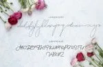 Zolland Font