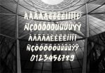 Zomblo Font