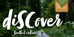 Zooja Script Font