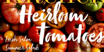 Zooja Script Font