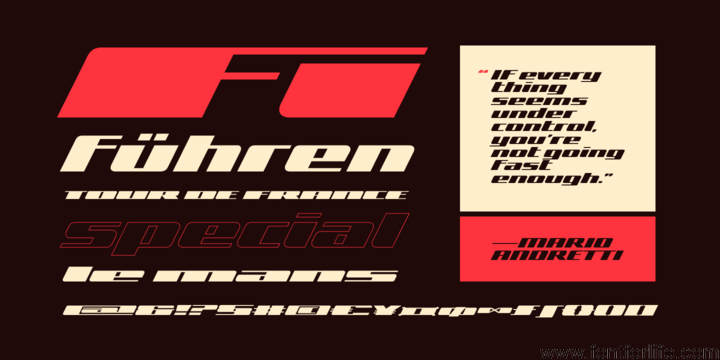 Zoom Font Family
