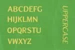 Zoya Font