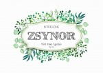 Zsynor Font