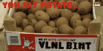 VLNL Bint2 Font