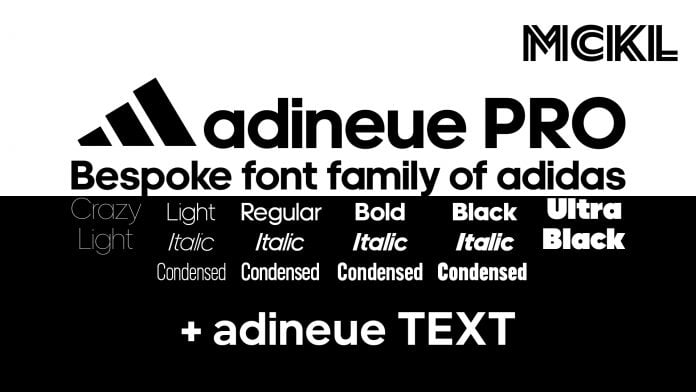 adineue PRO custom type family Font