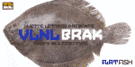 VLNL Brak Font