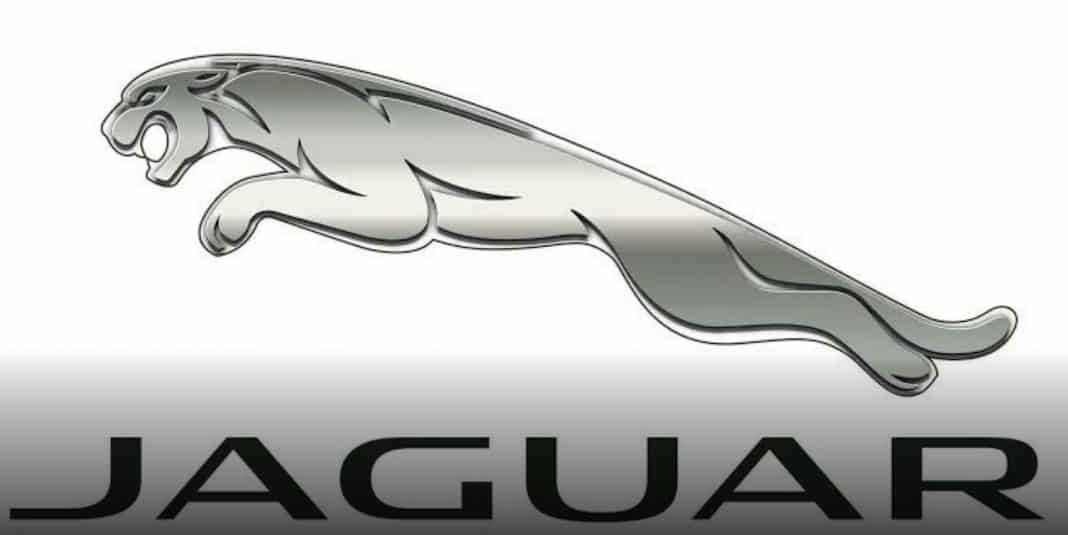 aguar Corporate Fonts