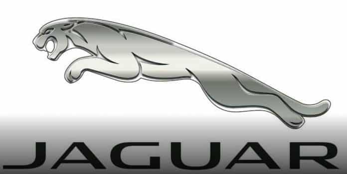 aguar Corporate Fonts