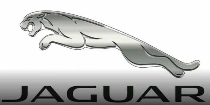 aguar Corporate Fonts