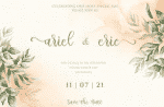 allicia Script - Stylish Feminine Typeface