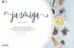 allicia Script - Stylish Feminine Typeface