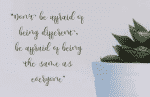 allicia Script - Stylish Feminine Typeface