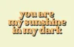 Alves & Bucky Font