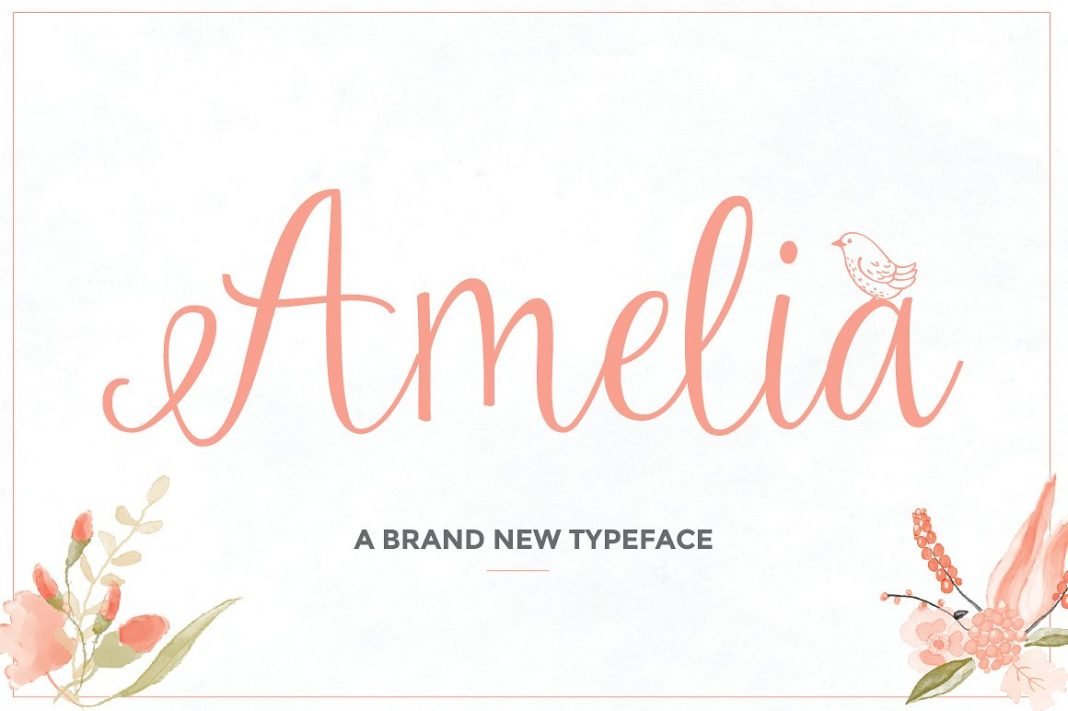 Amelian Script Typeface Font
