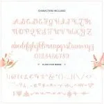 Amelian Script Typeface Font