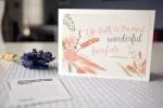 Amelian Script Typeface Font