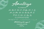 Amelliyo-Handwritten Font