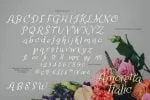 Amoretta Font