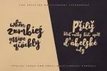 Amsterdam Script Font