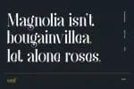 Anaximander Family 2 Styles Font