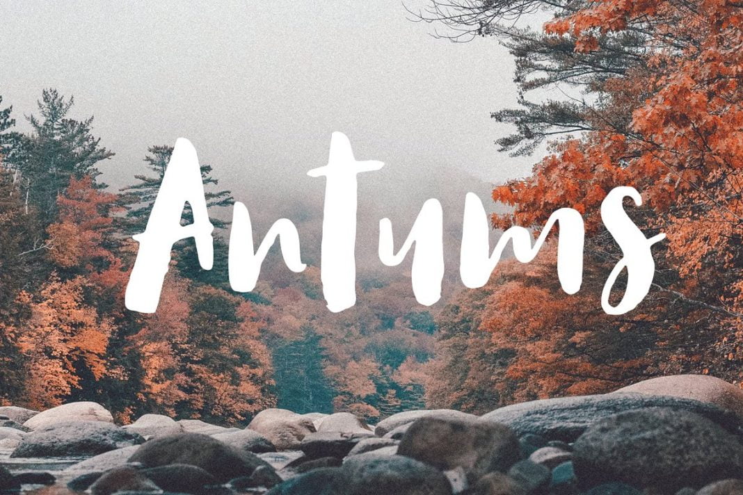 Antums Script Font