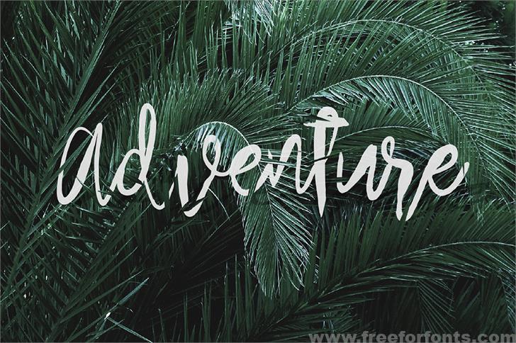 Arthard Script Font Free Download