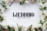Audrey Font