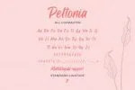 Pettonia Script