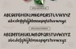 Applejack Font