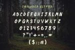 Backwoods Cabin Font