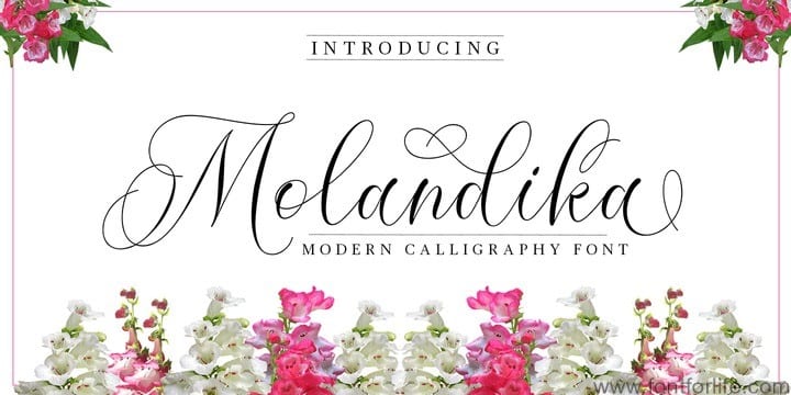 Molandika Script Font