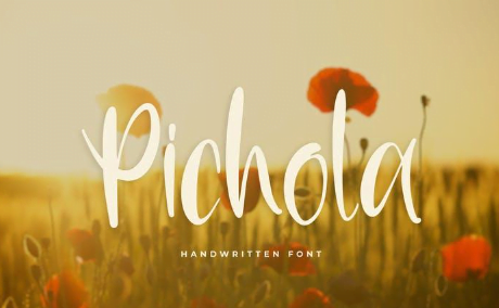 Pichola - Handwritten Font