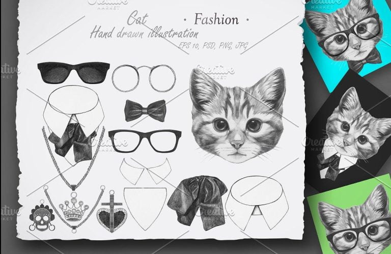 Cat / Fashion