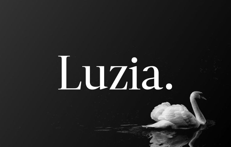 Luzia Font Family – Evocative serif free download