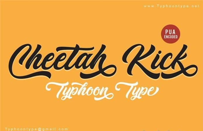 Cheetah Kick - Personal Use font
