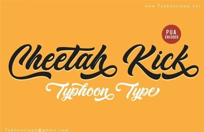 Cheetah Kick - Personal Use font