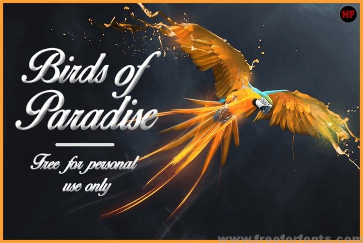 Birds of Paradise Personal use font
