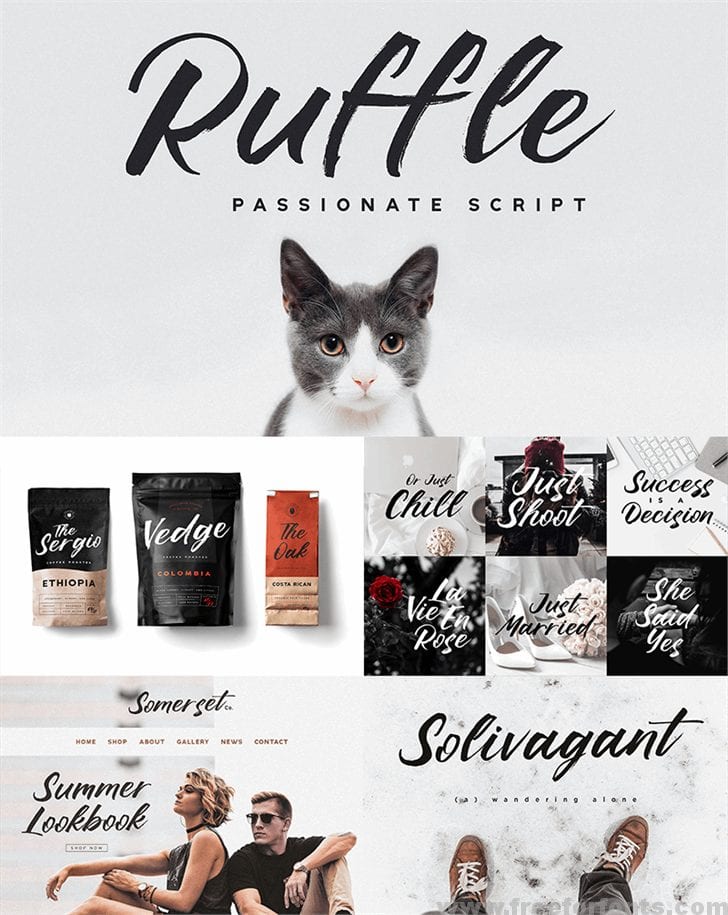 Ruffle Script font