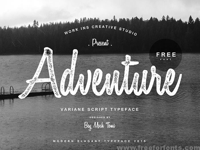 Variane Script font