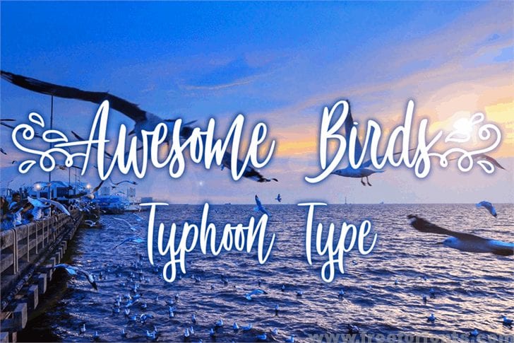 Awesome Birds font