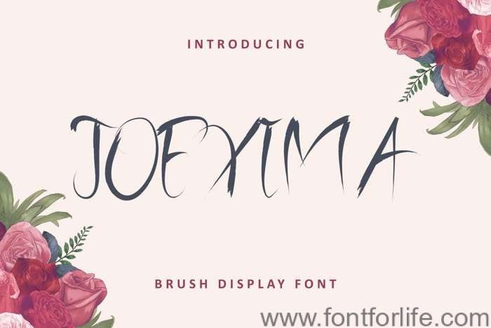 Joexima Font