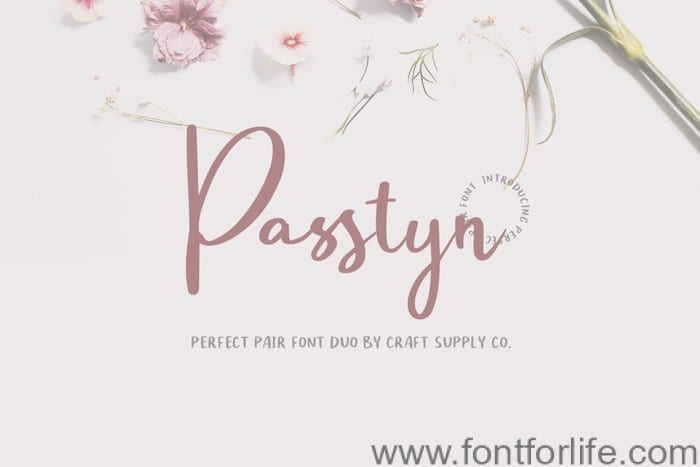 Passtyn Script Font