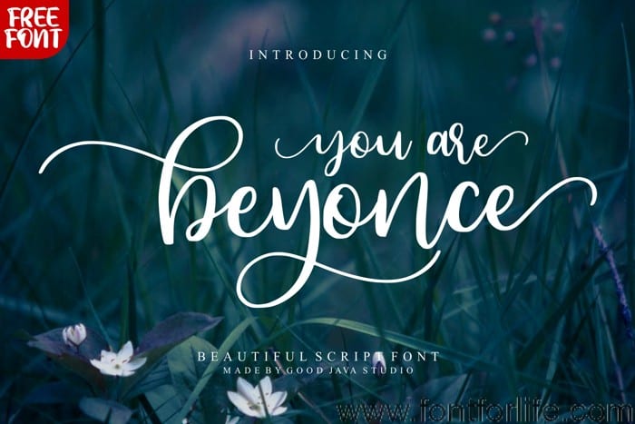 Beyonce Font