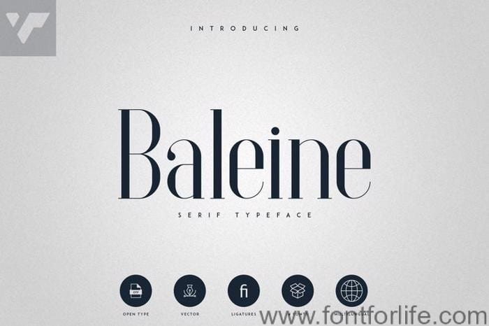 Baleine Font