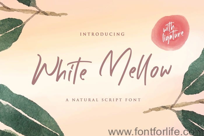 White Mellow Font