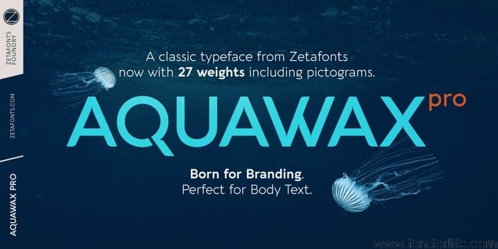 Aquawax Pro Font Families