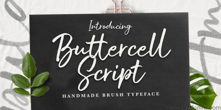 Buttercell Script Font